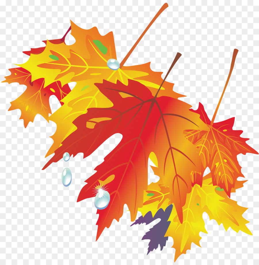 Осенние листья рисунок