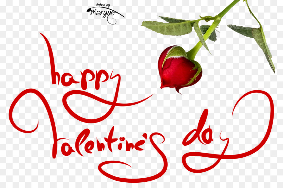 День Святого Валентина，романтика PNG