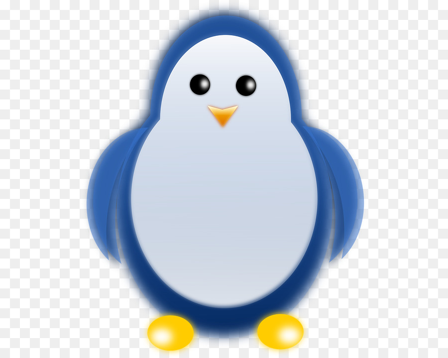 пингвин，птица PNG