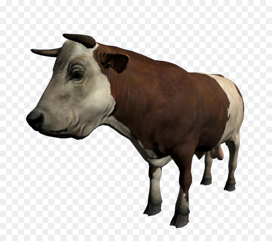 крупный рогатый скот，бык PNG