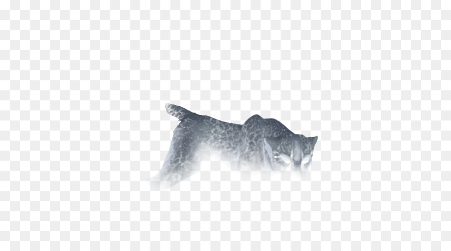 кошка，усы PNG