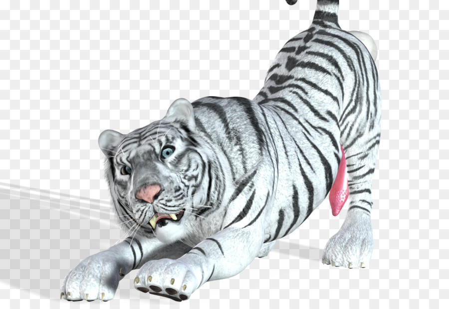 кошка，тигр PNG