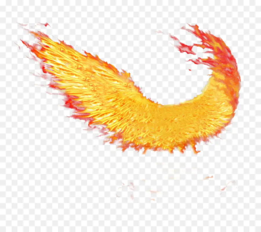 крылышки Баффало，огненные крылья Сакраменто PNG