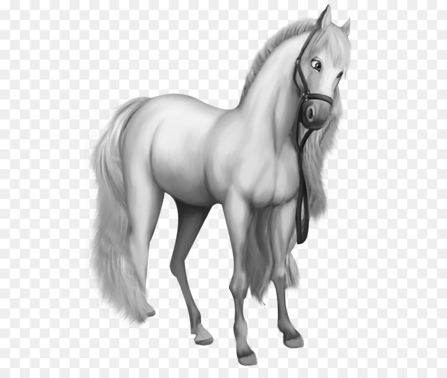 Морган лошадь，шетландский пони PNG