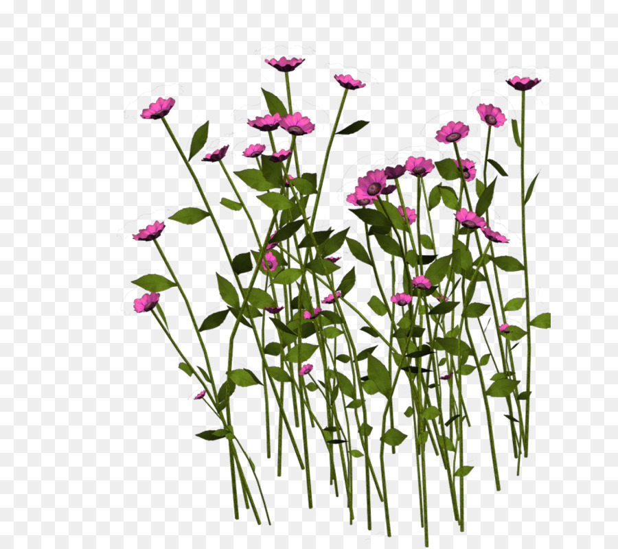 цветок，портативное приложение PNG
