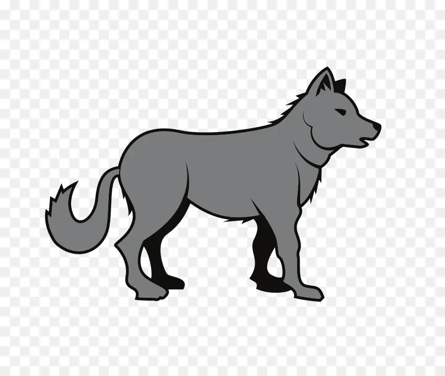серый волк，Койот PNG