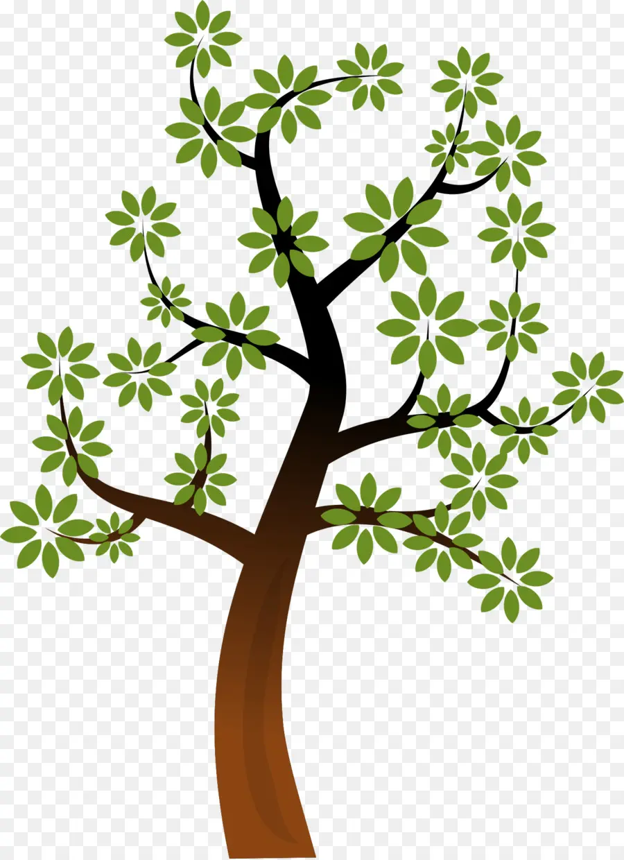 общественное достояние，дерево PNG