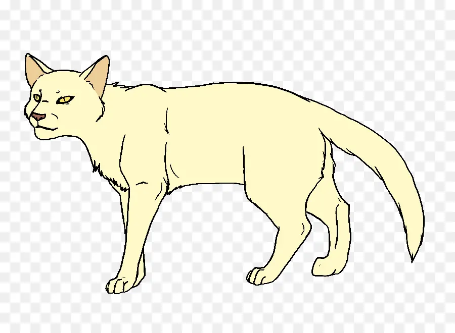 кот，кошачий PNG