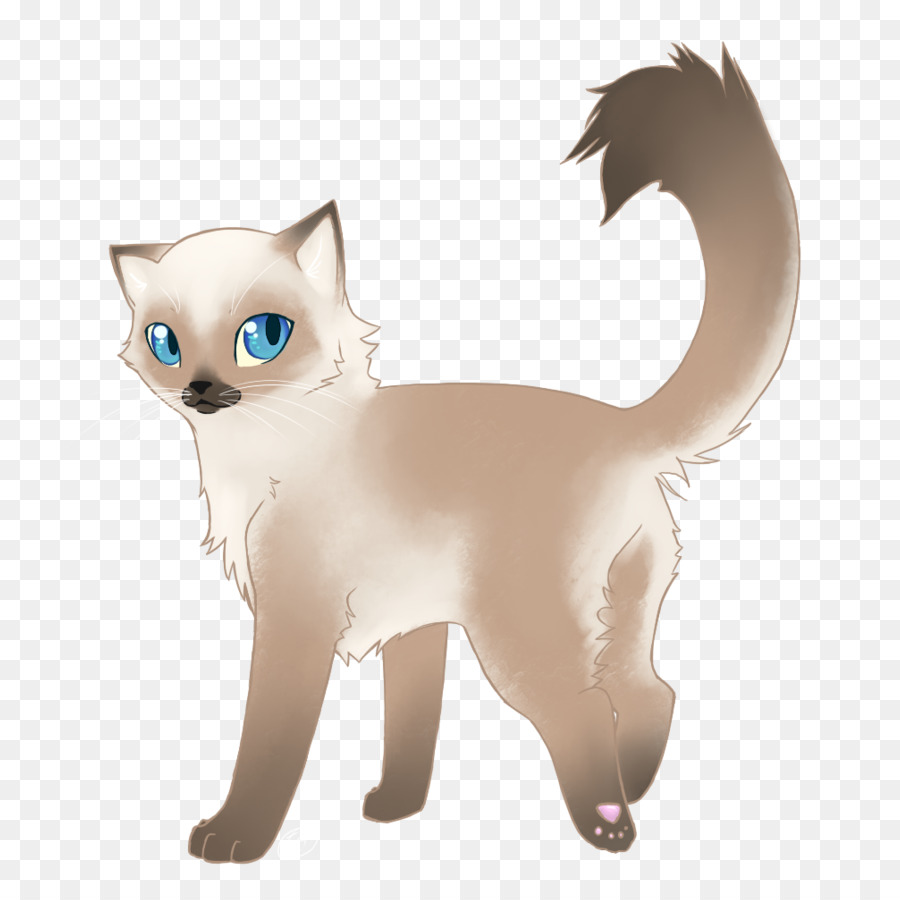 свободно рэгдолл, сиамская кошка, кошки сфинксы прозрачное изображение.
