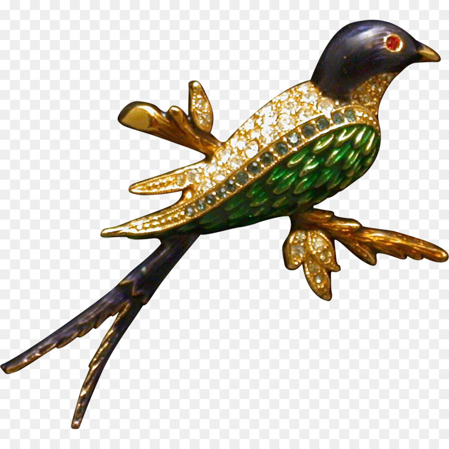 птица，дятлообразных PNG