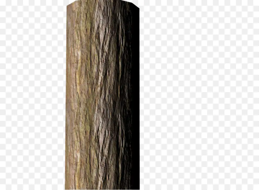 древесины，дерево PNG