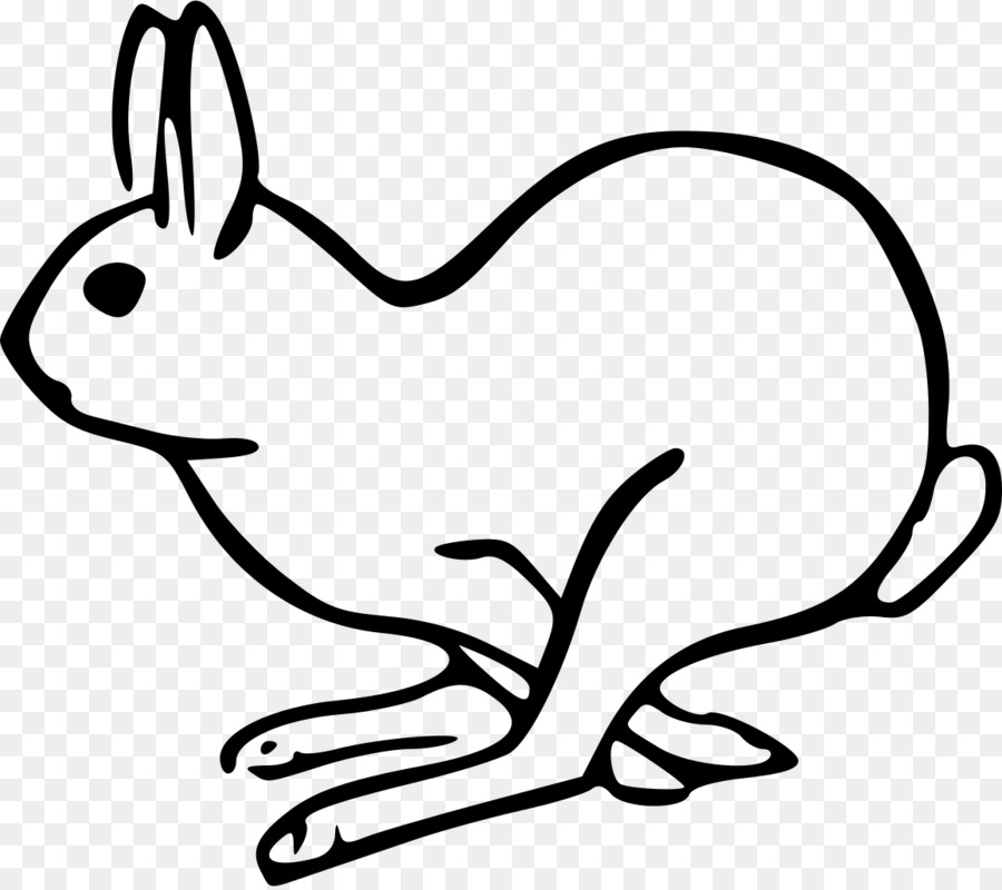 заяц русак，кролик PNG