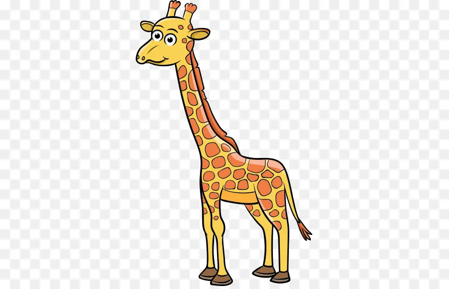 жираф，животное PNG