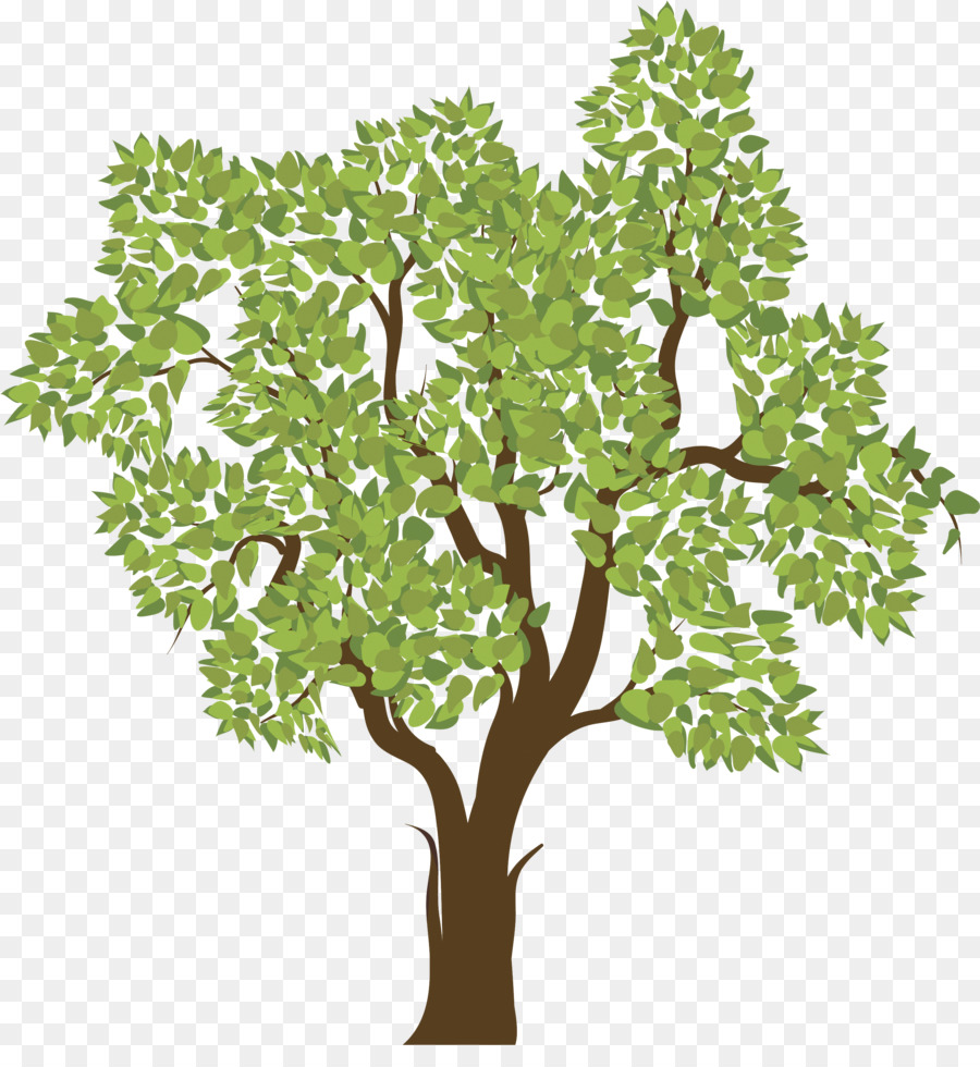 Дерево без плодов