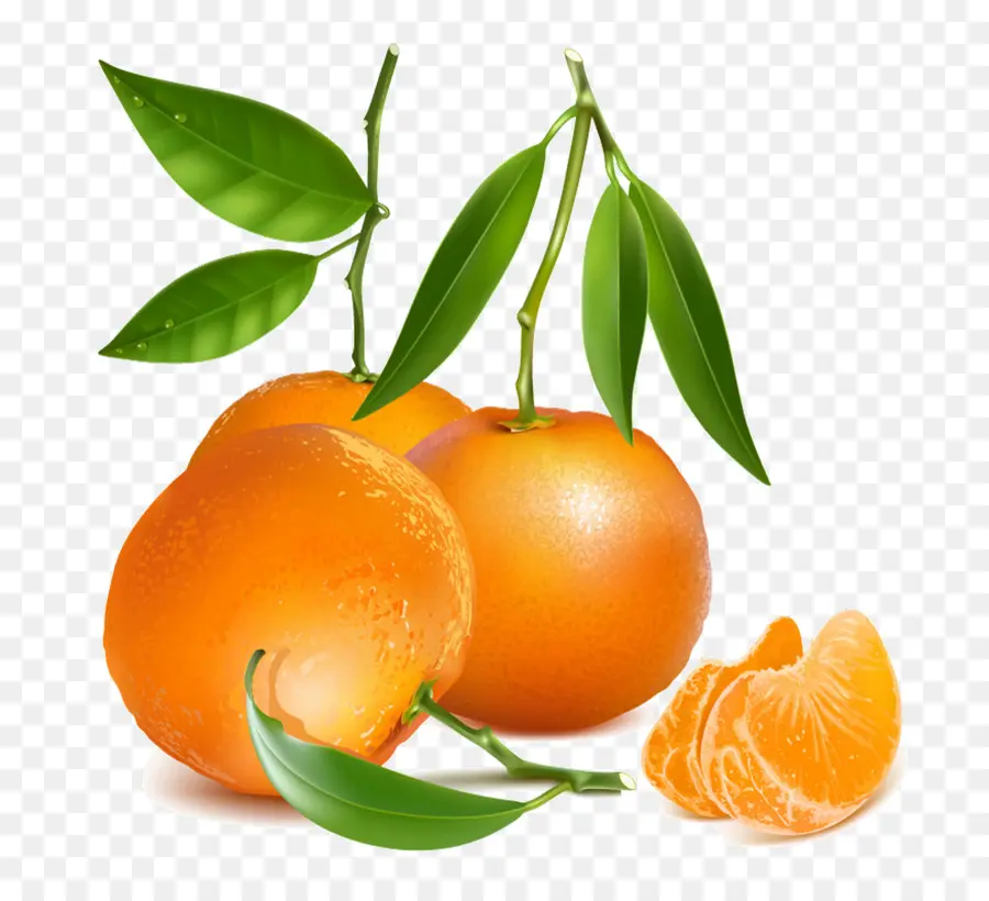 мандарин，рисунок PNG