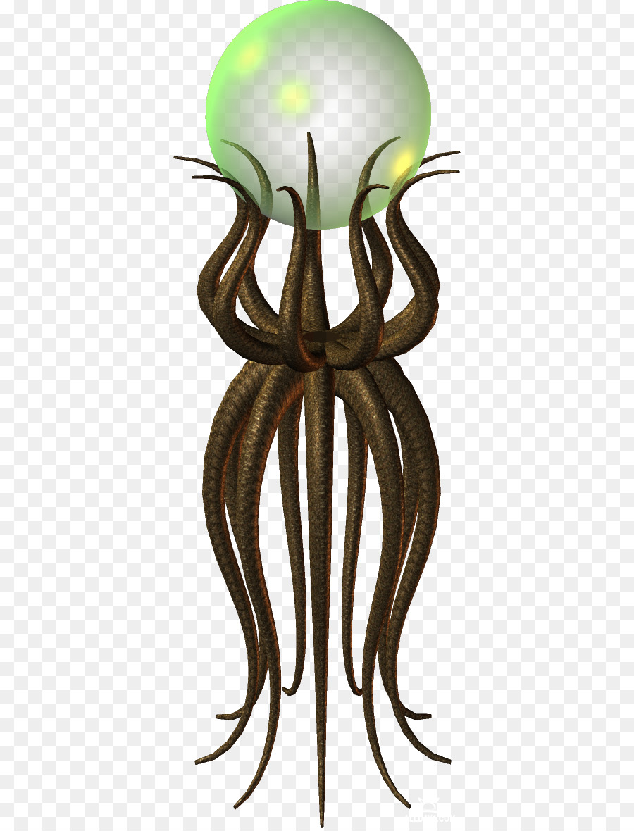 осьминог，беспозвоночных PNG