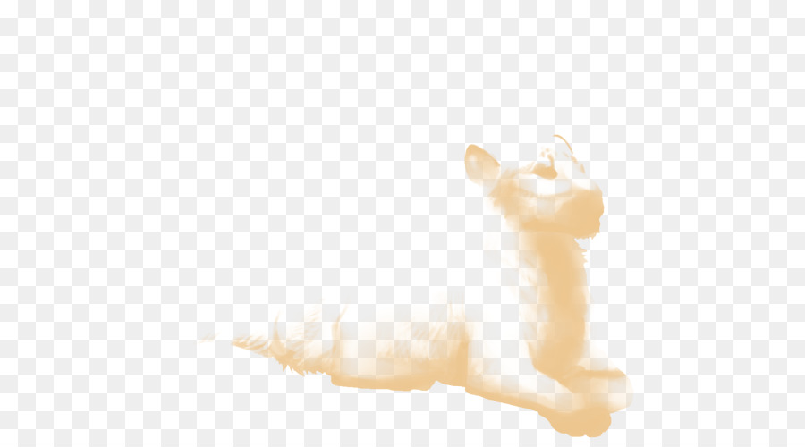 кошка，усы PNG