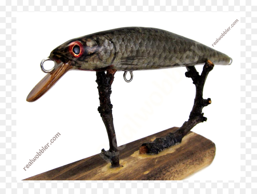 рыбалка Bait，рыбы PNG