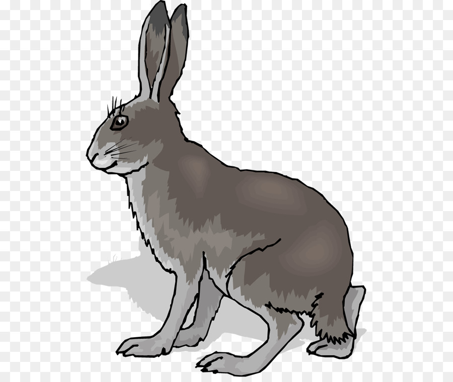 заяц，кролик PNG