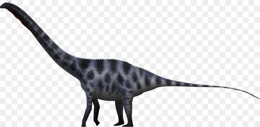 Апатозавр. новый. 