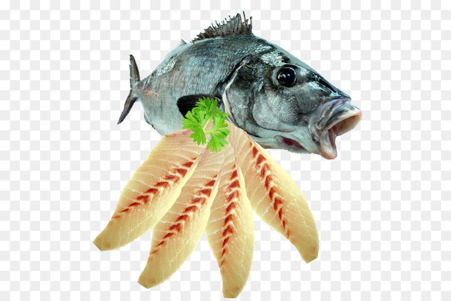 рыбы，морепродукты PNG