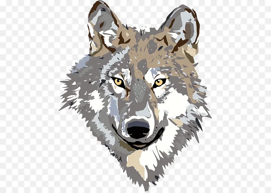 серый волк，большой плохой волк PNG