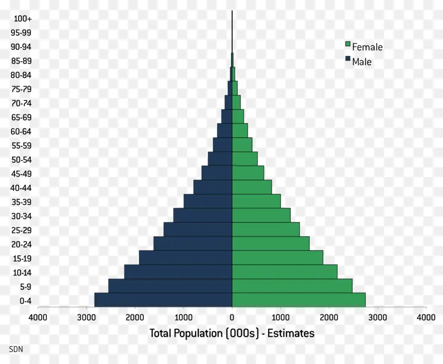 Демографическая пирамида，Демография PNG