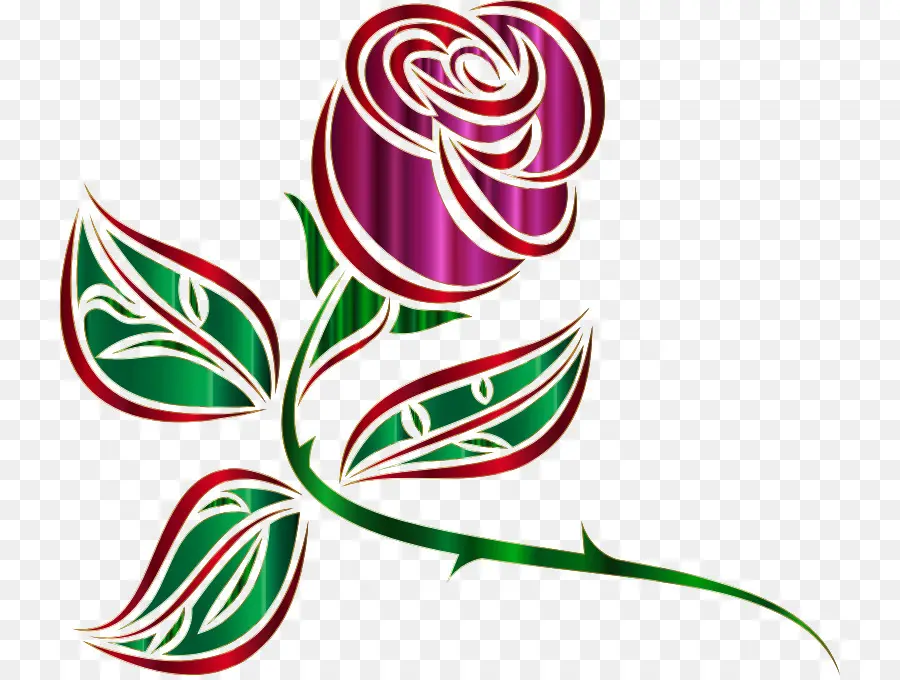 роза，цветок PNG