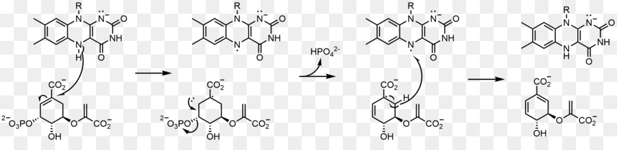 флавин группы，флавин аденин динуклеотид PNG