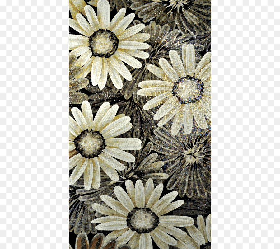 хризантема，Transvaal Daisy PNG