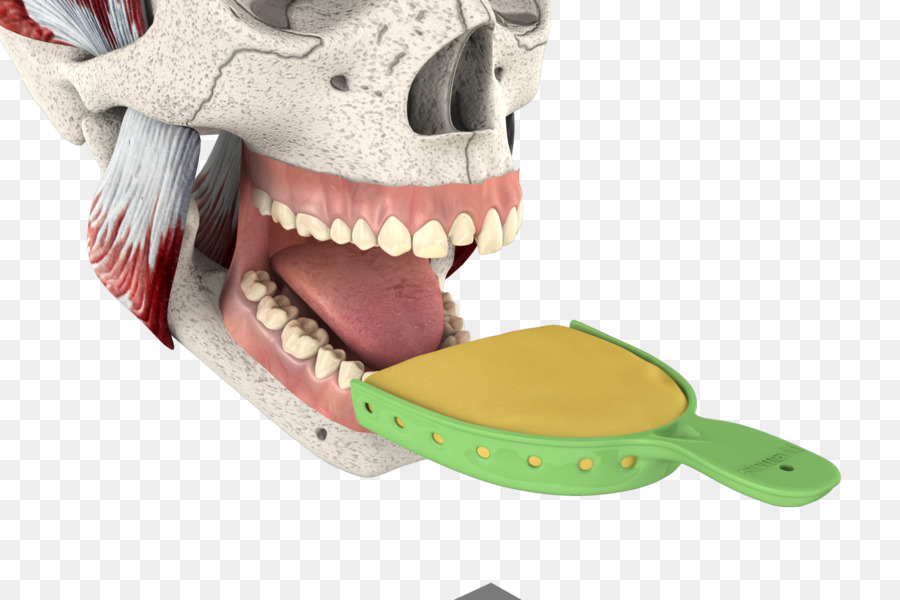 челюсти，рот PNG