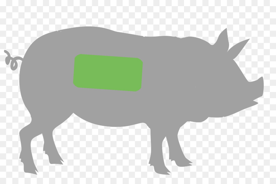 домашняя свинья，окорок PNG
