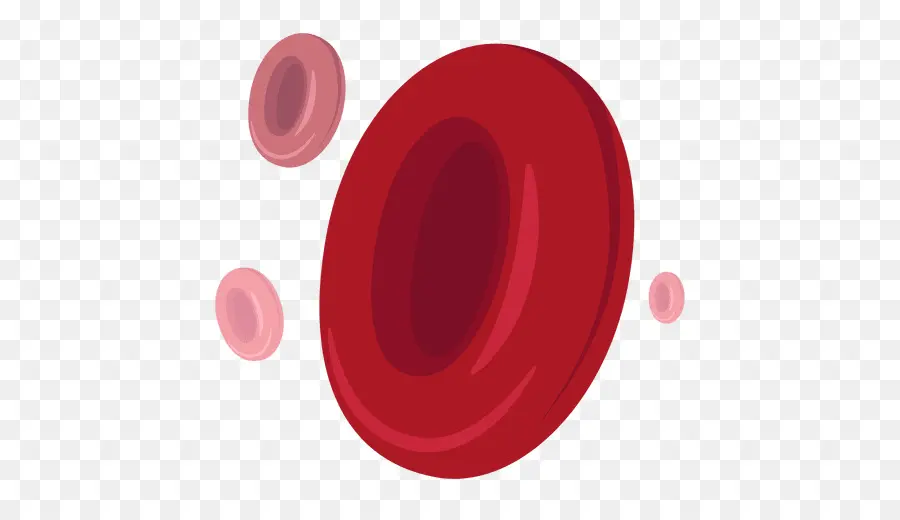Красная кровяная клетка，кровяная клетка PNG