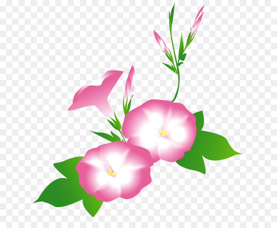 лепесток，цветочный дизайн PNG
