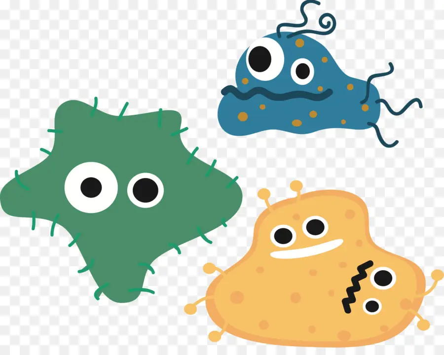 бактерии，микроорганизм PNG