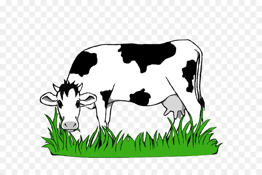 молочный скот，Kereman крупного рогатого скота PNG