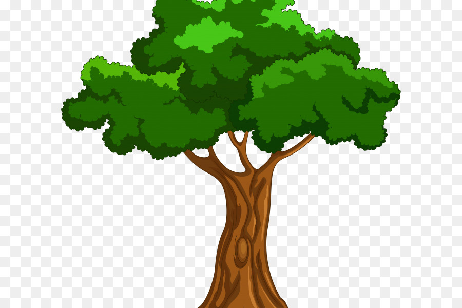 дерево，мультфильм PNG