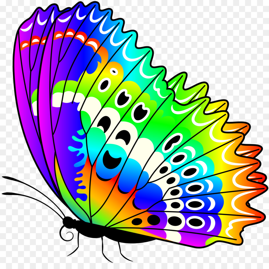 Яркие разноцветные бабочки