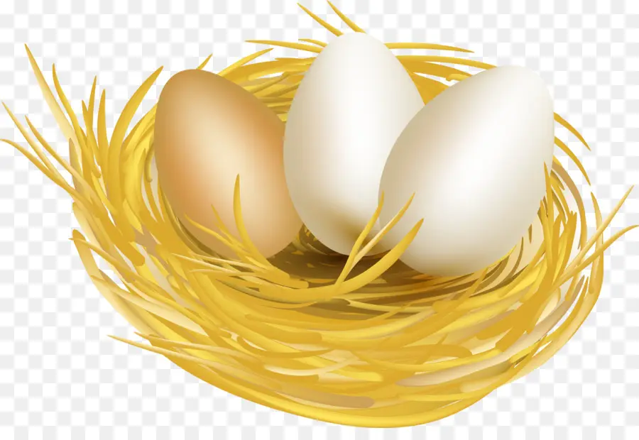 яйцо，курица PNG