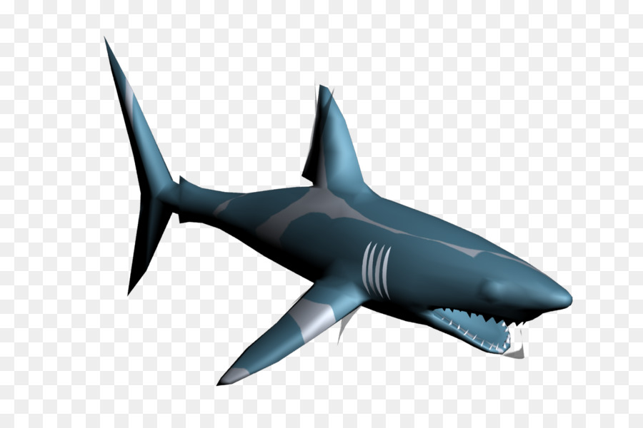 большая белая акула，Шарк PNG