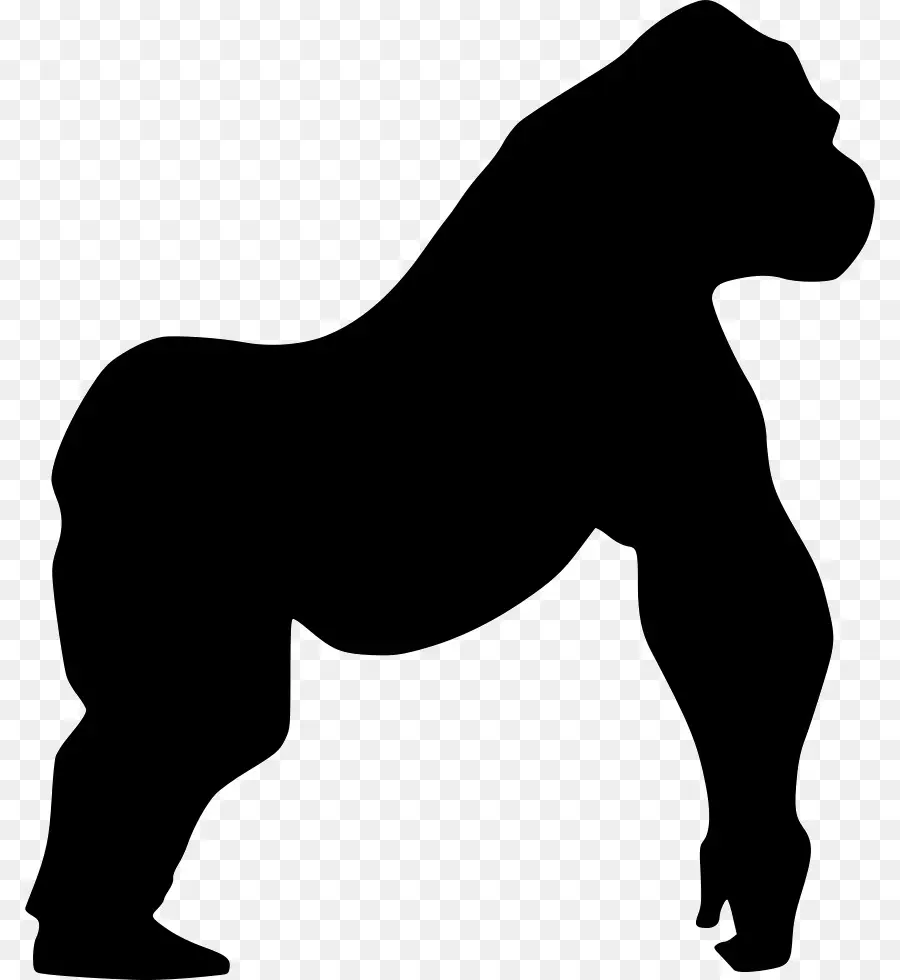 горилла，лошадь PNG