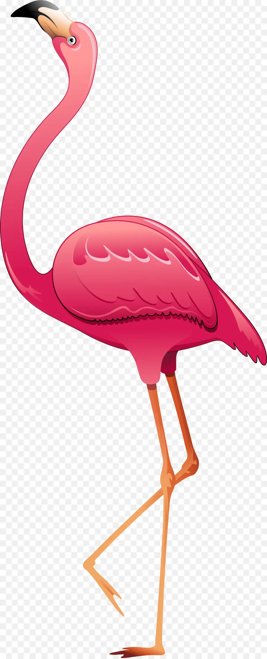 Большой фламинго，птица PNG