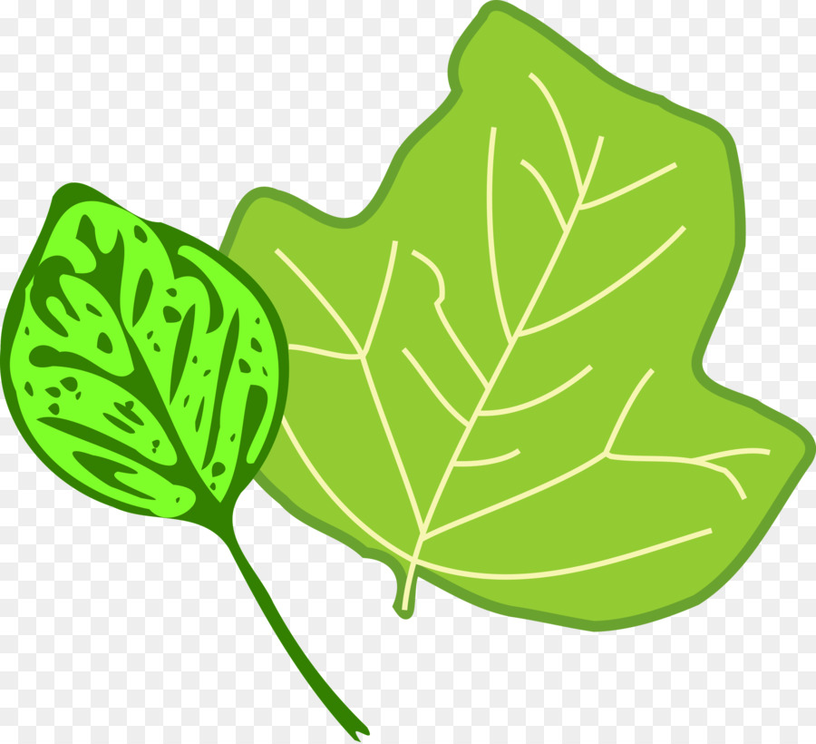 лист，осенняя окраска листьев PNG