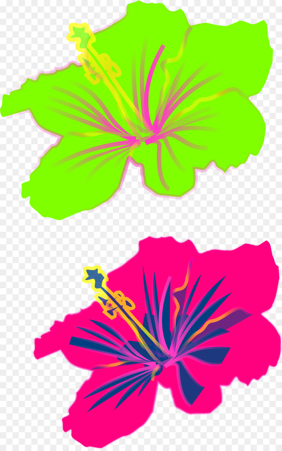 Красочные Гавайские цветы