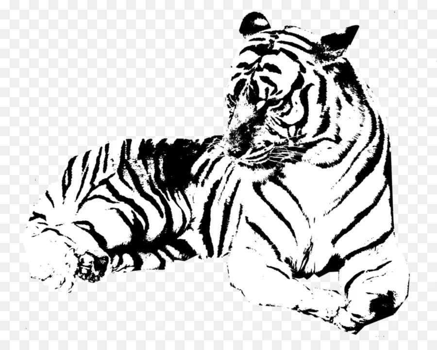 тигр，трафарет PNG