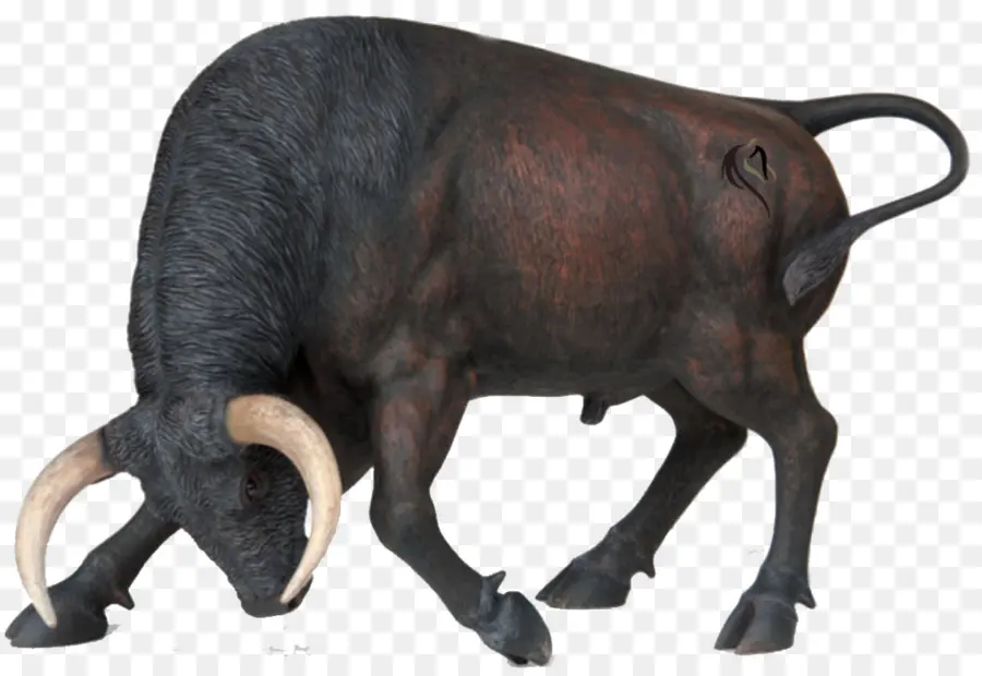 испанский боевой бык，Ангус крупного рогатого скота PNG