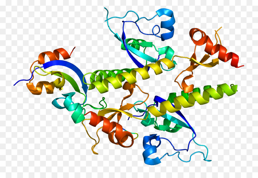 Геликаза. Ген и белки. Ген chd8. Плетение ДНК. Ген 2.