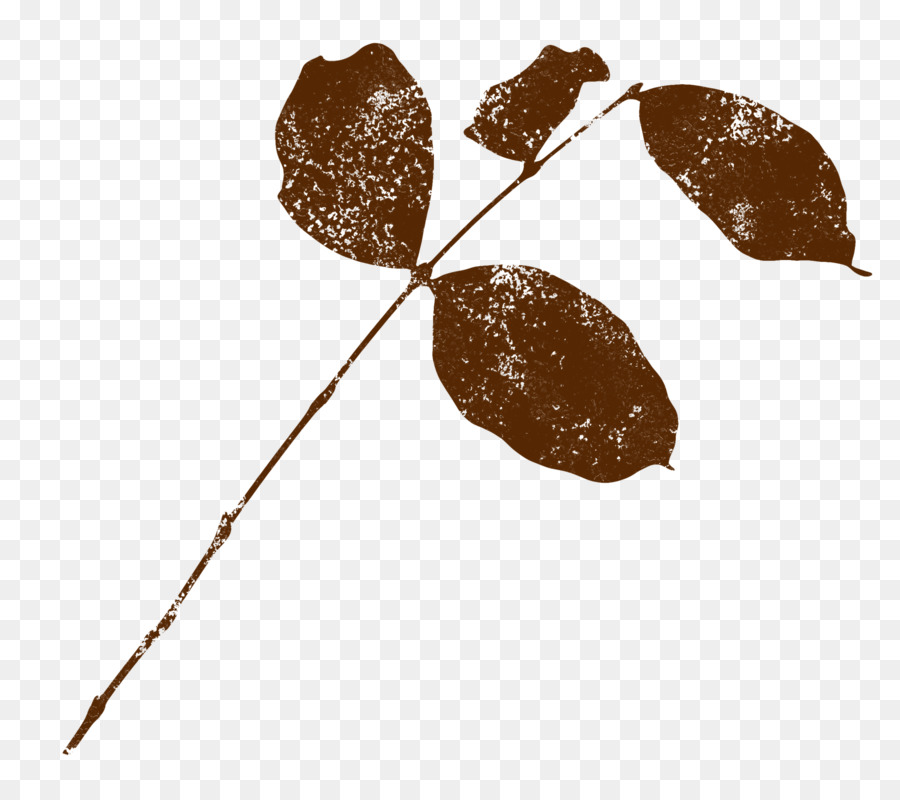 лист，коричневый PNG