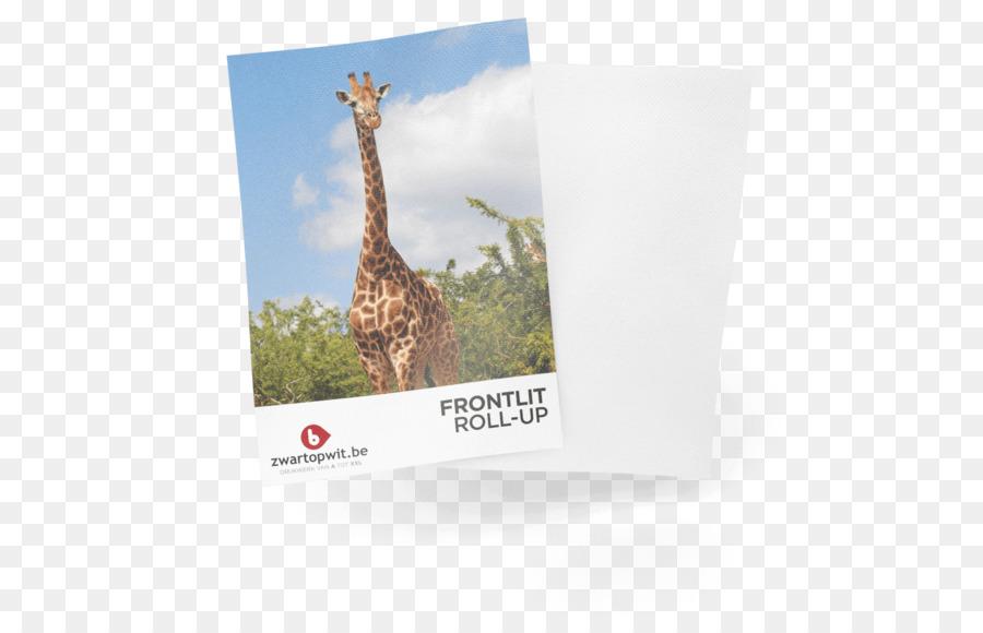 жираф，бренд PNG