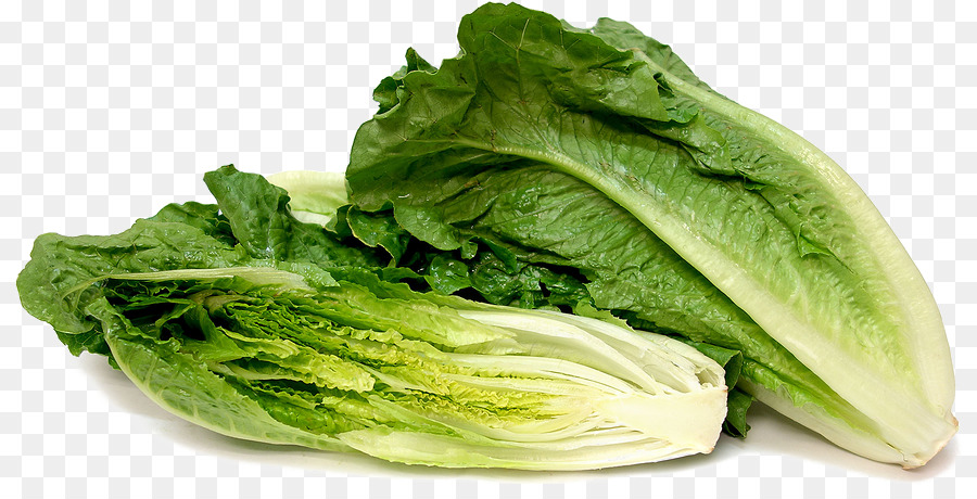 Салата ромэн romaine lettuce